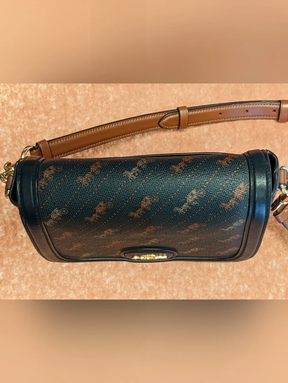 Coach bag style